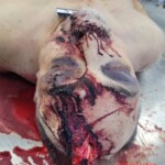 Elderly Russian couple died in bus accident