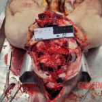 Elderly Russian couple died in bus accident