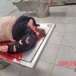 Elderly Russian couple died in bus accident