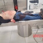 Elderly Russian couple died in bus accident