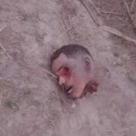 Guy found decapitated on farm