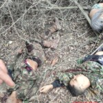 Massive police operation in Rio against Comando Vermelho