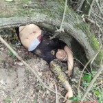 Massive police operation in Rio against Comando Vermelho