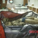 Missing boy found partially skeletonized