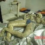 Missing boy found partially skeletonized