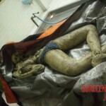 Missing boy found partially skeletonized