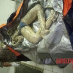 Missing boy found partially skeletonized