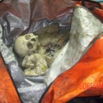 Missing boy found partially skeletonized