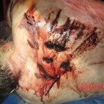 Murder of Travis Alexander