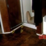 Murder of Travis Alexander