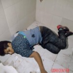 Two young men and woman massacred in house