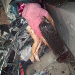 Venezuelan woman hanging out of crashed pick-up