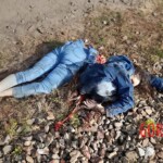 Woman chose to commit suicide rather than face cancer