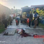 Woman’s body found with knife plunged deep into her neck