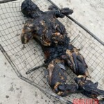 Aftermath of car bombing in Afrin, Syria