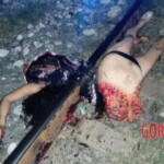 Female cut in half by train