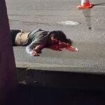 Female suicidal jumper finished off by car