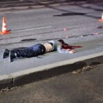 Female suicidal jumper finished off by car