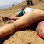 Raped and murdered woman found in the Mexican desert