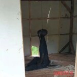 Rotting body of hanged woman found inside roadside hut