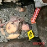 Woman brutally dismembered and hidden in septic tank