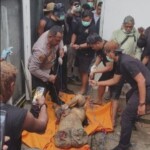 Woman brutally dismembered and hidden in septic tank