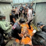 Woman brutally dismembered and hidden in septic tank