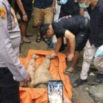 Woman brutally dismembered and hidden in septic tank