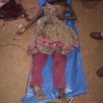 13-year-old Indian girl beheaded by her neighbor