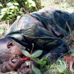 5 members of Rwandan forces killed by ISIS in Mozambique