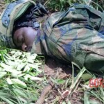 5 members of Rwandan forces killed by ISIS in Mozambique