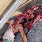 Brazilian motorcyclist crushed by truck