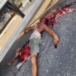 Brazilian motorcyclist crushed by truck