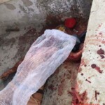 Brutally murdered by his own brother