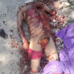 CJNG butchered their rival