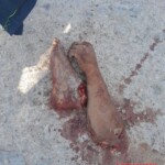 CJNG butchered their rival