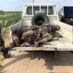 ISIS attack on members of Popular Mobilization Forces