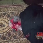 Iraqi government spy killed by ISIS