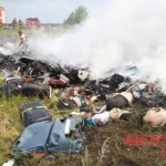 MH17 flight crash victim