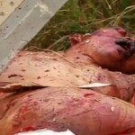 MH17 flight crash victim