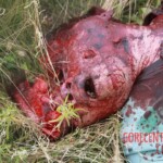 MH17 flight crash victim