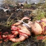 MH17 flight crash victim