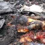 MH17 flight crash victim