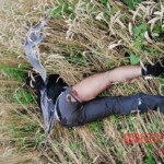 MH17 flight crash victim