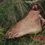 MH17 flight crash victim