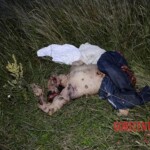 MH17 flight crash victim