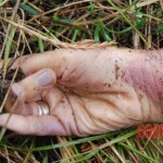 MH17 flight crash victim