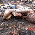 MH17 flight crash victim