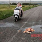 MH17 flight crash victim