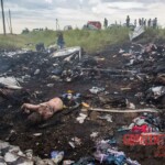 MH17 flight crash victim